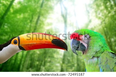 Toco toucan and Military Macaw Green parrot in jungle in love birds [Photo Illustration]