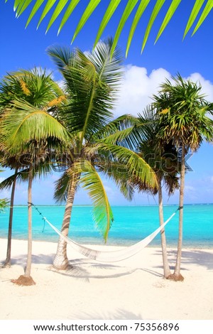 Caribbean sea with swing hammock turquoise beach Mayan Rivera [Photo Illustration]