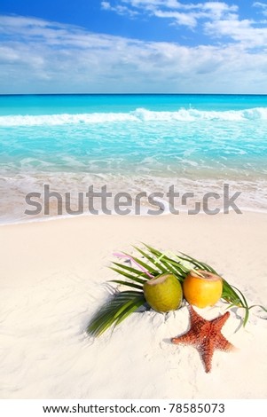 coconut cocktails juice and starfish in tropical aqua beach Caribbean [Photo Illustration]