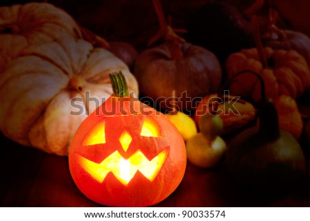 Halloween pumpkin Jack o lantern candle glowing with varied species [Photo Illustration]