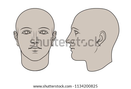 Hand drawn androgynous, gender-neutral human head in face and profile. Flat vector isolated on white background. The drawings can be used independently of each other.