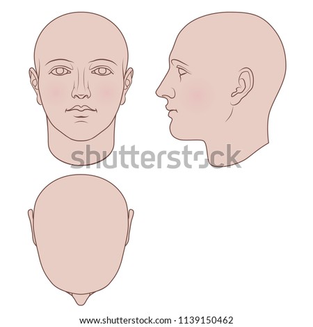 Hand drawn androgynous, gender-neutral human head in face, profile and top views. Flat vector isolated on white background. The drawings can be used independently of each other.