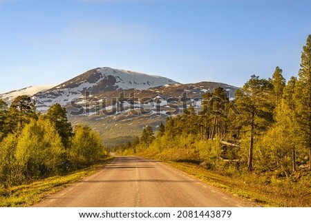 Road to Stora sjöfallet nationalpark in spring time with mountains in background with snow on top, Stora sjöfallet nationalpark, Gällivare county, Swedish Lapland, Sweden Stock foto © 