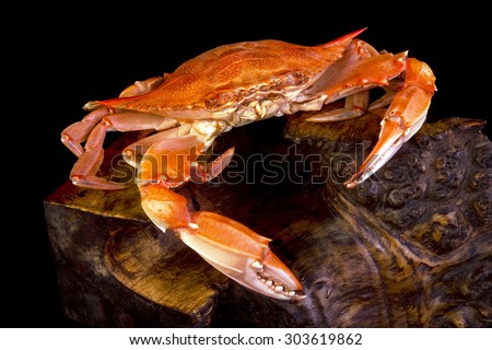 Cooked crab on interesting wood stand.