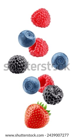 Similar – Foto Bild Rote reife Beeren im Dezember an einem Strauch