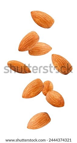 Similar – Image, Stock Photo Close up almonds Almond