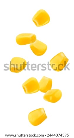 Similar – Image, Stock Photo Organic corn seeds and a glass jar container on a grey background