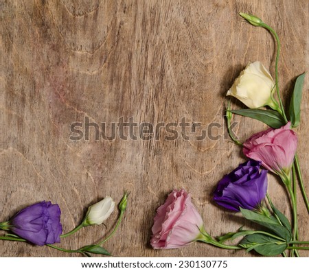 beautiful eustoma flowers with leafs and buds on white background located at the bottom right