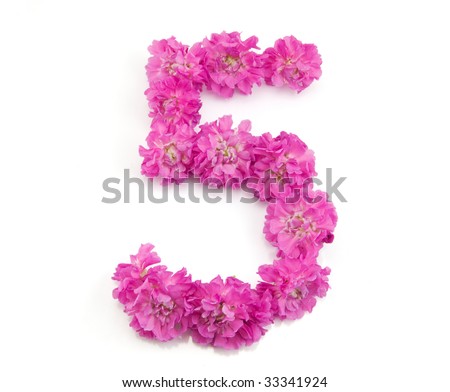 The Number Five From Flowers Stock Photo 33341924 : Shutterstock