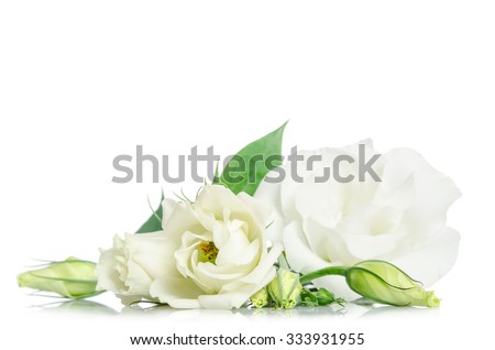 Similar – Image, Stock Photo Beautiful eustoma flowers bouquet on orange