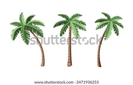 Set of different palm trees in cartoon style. Vector illustration of beautiful green palm trees. Isolated on white background. Tropical coconut trees.