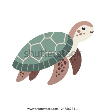 Tropical turtle illustration. Vector illustration. Isolated on white background. Cartoon sea animal. Children graphic for poster