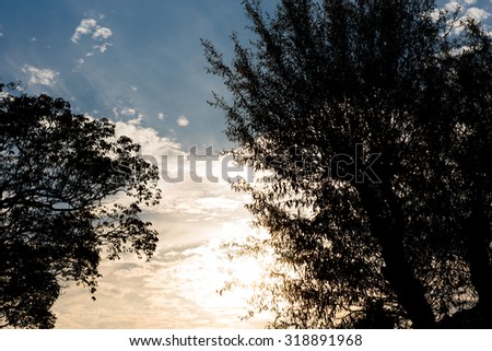 The silhouette of some trees with the sunset in a blue and yellow sky dappled with clouds in the background.
