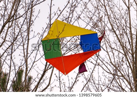 Image, Stock Photo kite caught in bare tree