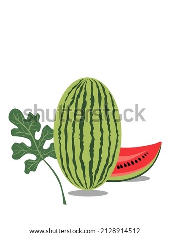 Fresh watermelon fruit illustration vector, juicy, fresh