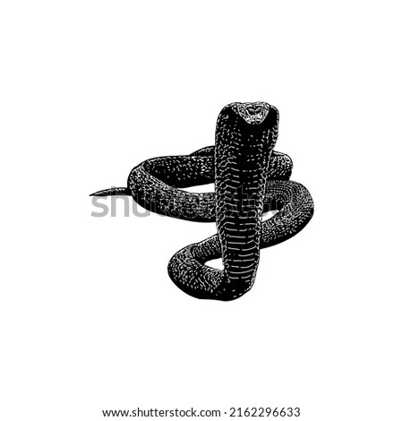 Yellow Cobra hand drawing vector illustration isolated on white background