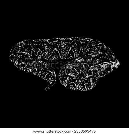 gabon viper hand drawing vector isolated on black background.