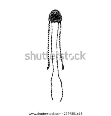 Irukandji Jellyfish hand drawing vector isolated on white background.