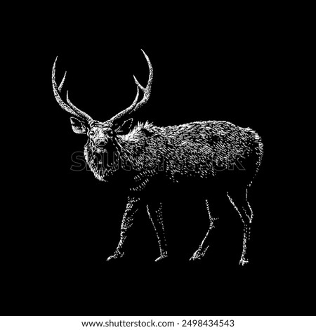 sambar deer hand drawing vector isolated on black background.