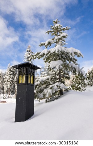 Lantern and Tree in the Snow in Sequoia National Park