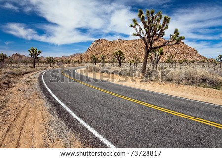 Desert road in Joshua Tree National Park, California.
