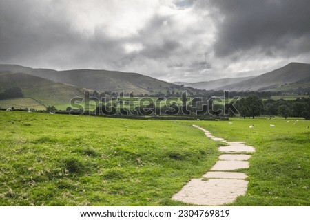 Similar – Foto Bild Sommerlicher Weg mit Gras und Bäumen sowie blauen Himmel lädt zum Spaziergang ein