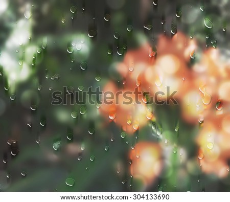 After the rain beautiful nature. Orange and red flowers and green plants behind the wet window with rain drops. Sunshine after heavy rain.