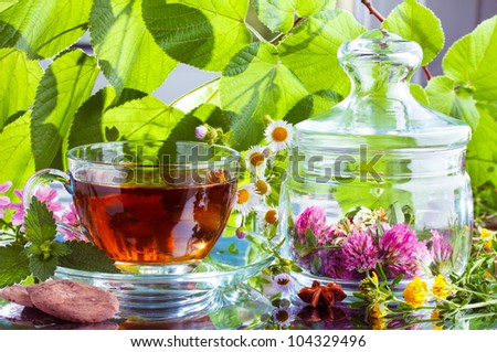 Herbal tea with natural cocoa and fresh herbs