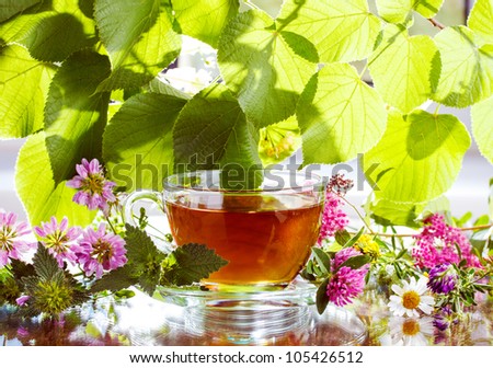 Herbal tea with fresh herbs