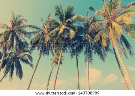 Vintage Tropical Palm Trees Stock Photo 143708989 : Shutterstock