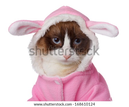 Cat in pink rabbit costume isolated on white