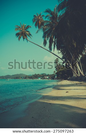 Retro toned palm tree on tropical beach