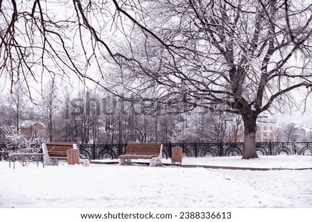 Similar – Image, Stock Photo Winter city park Park