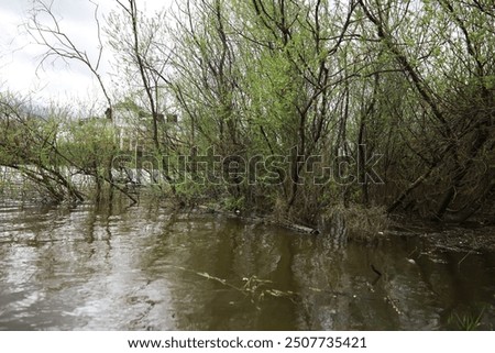 Similar – Image, Stock Photo dreary residential area