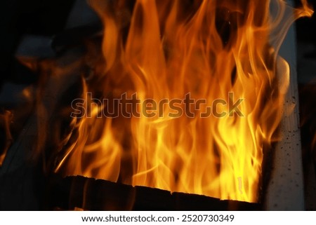 Similar – Image, Stock Photo Strongly burning wood at night