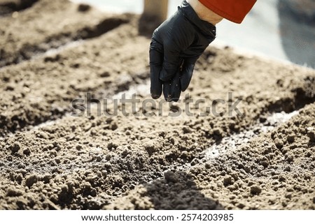 Similar – Image, Stock Photo Anonymous gardener with spring flowers at table