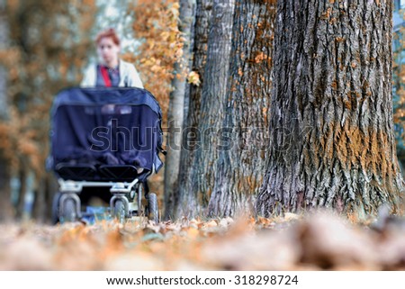 Mom with stroller walks in autumn park alley