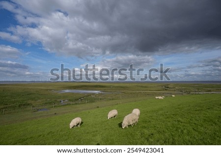 Image, Stock Photo Ems dike in the fog Fog