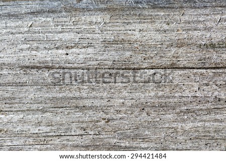 Gray wood texture. Abstract background, empty template