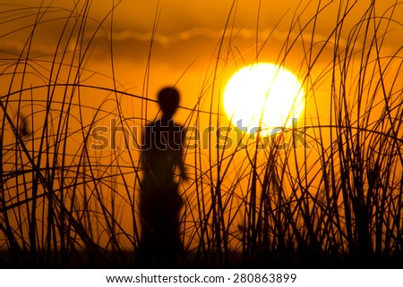 Sunset on the Florida Gulf Coast taken through Sea Oats with the silhouette of a boy.  Foreground is in focus.