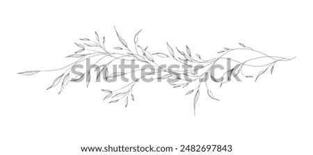 Botanical of long branches and leaves with hand drawn in line art. Floral outline vector illustration suit for design of tattoo, logo, invitations, greeting cards, or coloring pages.