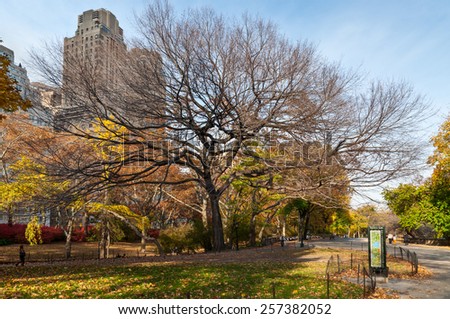 NEW YORK CITY, USA - NOVEMBER 14: People are walking in Central Park during a sunny day in autumn at November 14, 2011.