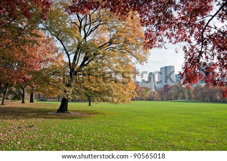 A green lawn in Central Park in New York City, Fall