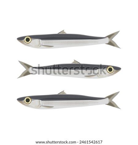 Vector Illustration logo Isolated Fresh anchovies 