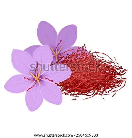 Vector Illustration Logo Clip Art Saffron with crocus flowers Isolated