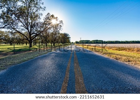 Similar – Image, Stock Photo Small grove on empty dry field