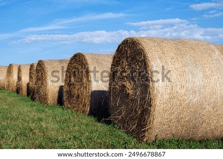 Similar – Image, Stock Photo Hay rolls (hay bales) on a field, aerial view