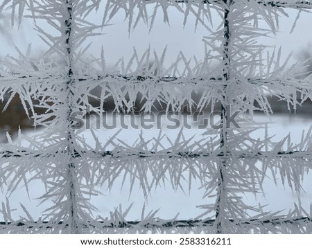 Similar – Image, Stock Photo delicate white frost adorns the edges of a woody thyme bush.  Geometric setting of leaves