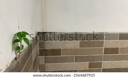 Similar – Image, Stock Photo Age leaves its mark age