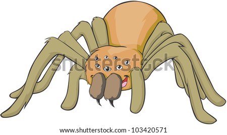 Happy Tarantula Illustration - Stock Image - Everypixel